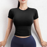 シームレスニット半袖ワークアウトTシャツ:ウエストを絞った体にぴったりフィットするヨガトップ