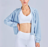 brand sportswear